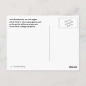 eiland Borneo Orangutan Briefkaart (Achterkant)