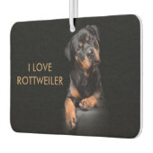 Eiland Breeze Landschap Rechthoek Lucht Rottweiler Luchtverfrisser (Links)