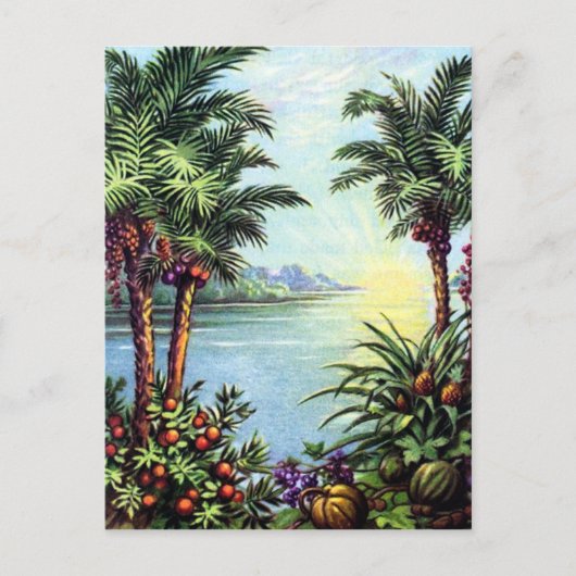  eiland briefkaart (Voorkant)