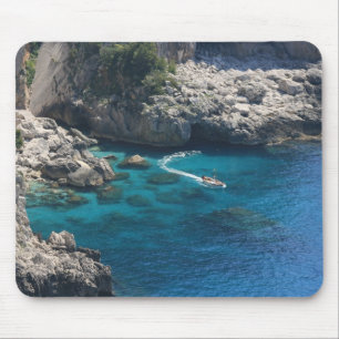 eiland Capri Muismat