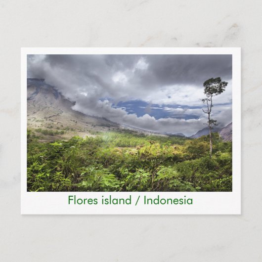 eiland Flores/Indonesië Briefkaart (Voorkant)