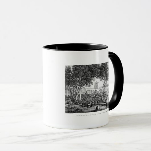 eiland Guam: Arbeidsgezinden in de tuin Mok (Voorkant rechts)