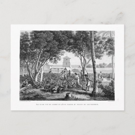 eiland Guam: autochtonen op het werk in de tuin va Briefkaart (Voorkant)