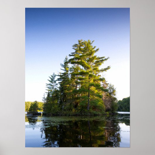Eiland in het Long Pond-meer Poster (Voorkant)