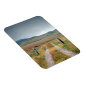 Eiland Jura, Schotland Magneet (Rechterzijde)