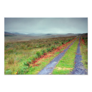 eiland Jura track, Schotland Foto Afdruk