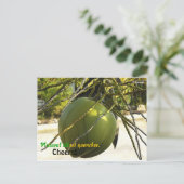 Eiland (Kokosnoot) Briefkaart (Staand voorkant)