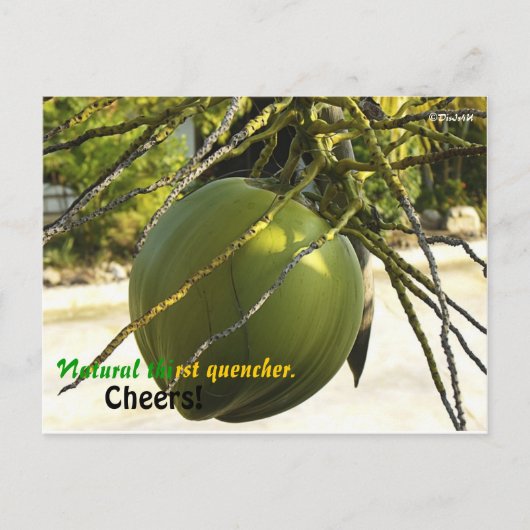 Eiland (Kokosnoot) Briefkaart (Voorkant)