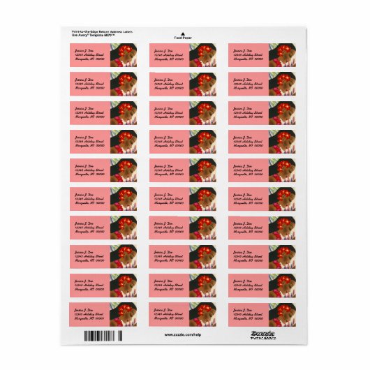 Eiland Meisje Hawaii Hibiscus Retouradres Label (Full Sheet)