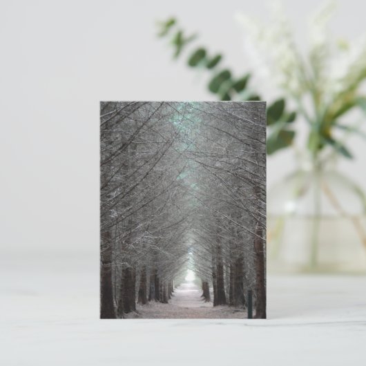 eiland Mull Forest Briefkaart (Staand voorkant)