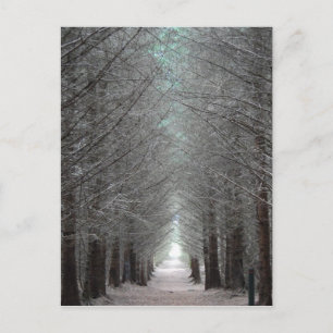 eiland Mull Forest Briefkaart