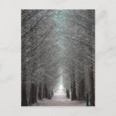 eiland Mull Forest Briefkaart (Voorkant)