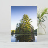 Eiland op Lake Long Pond Bedankkaart (Staand voorkant)