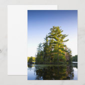 Eiland op Lake Long Pond Bedankkaart (Voorkant / Achterkant)