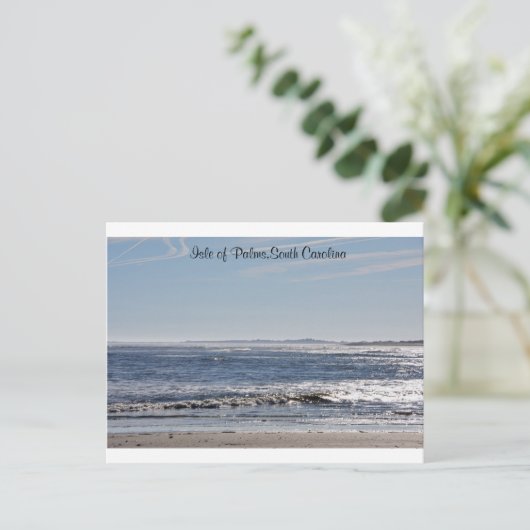 eiland Palms, South Carolina Briefkaart (Staand voorkant)