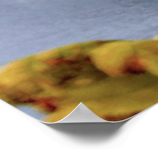 Eiland Skye, Schotland Poster (Hoek)