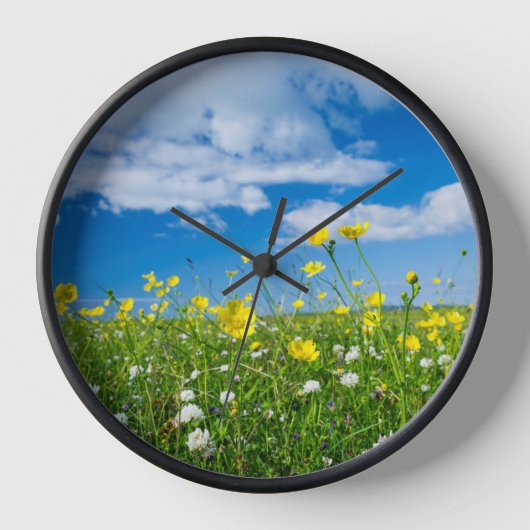 eiland South Uist | Schotland (Voorkant)