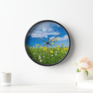 eiland South Uist   Schotland