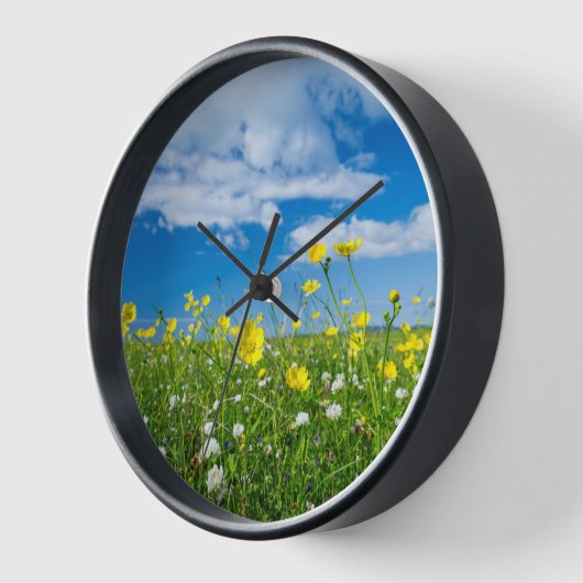 eiland South Uist | Schotland (Hoek)