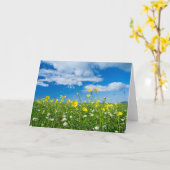 eiland South Uist | Schotland Kaart (Gele Bloem)