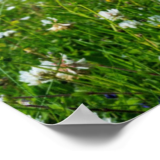 eiland South Uist | Schotland Poster (Hoek)