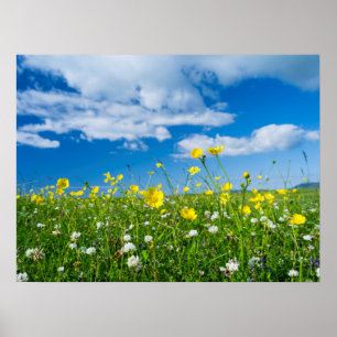 eiland South Uist Schotland Poster