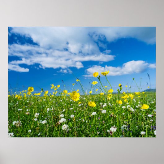 eiland South Uist | Schotland Poster (Voorkant)