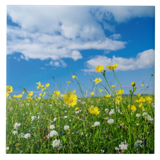 eiland South Uist | Schotland Tegeltje (Voorkant)