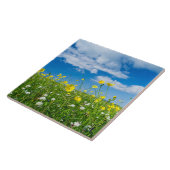 eiland South Uist | Schotland Tegeltje (Zijkant)