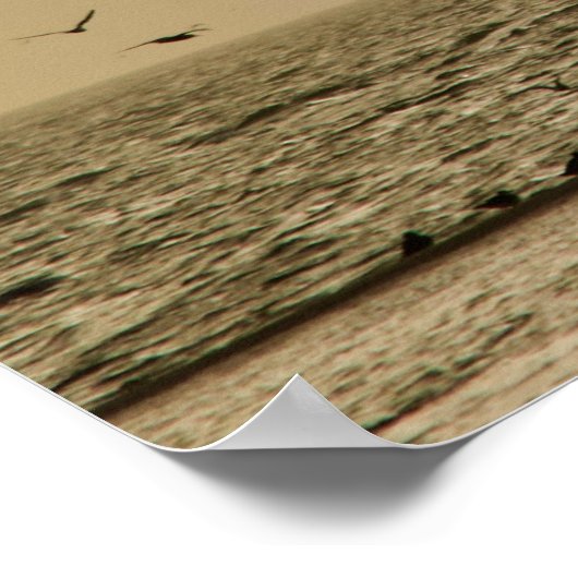 Eiland van vogels poster (Hoek)