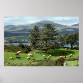 eilandbeemdposter poster (Voorkant)