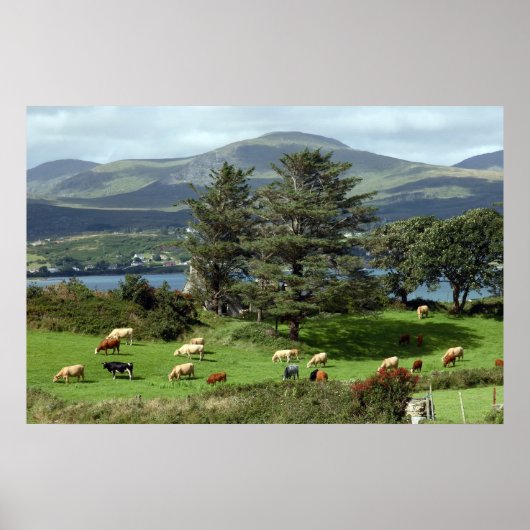 eilandbeemdposter poster (Voorkant)