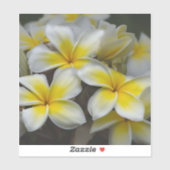 Eilandbloem - Gele Plumeria Sticker (Vel)