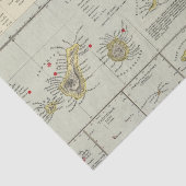 Eilanden, Atlantische Oceaan Tissuepapier (Detail)