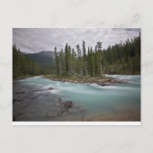 eilanden in de stroom briefkaart (Voorkant)