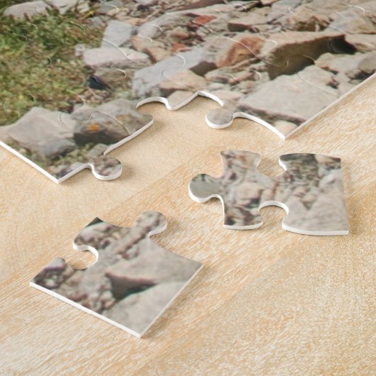 Eilanden van Maine Mid-Coast Harbour (1014 stuks) Legpuzzel (Zijkant)