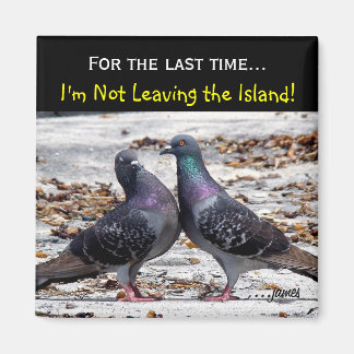 Eilandmagneet Magneet