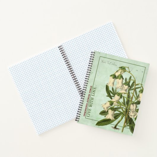 Eilandsereniteit: Notitieboek Azorina Vidalii (Binnen)