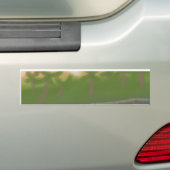 eilandzon bumpersticker (Op auto)