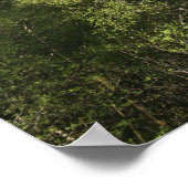 Eilean Donan Castle, Schotland. De beroemde Eilean Poster (Hoek)