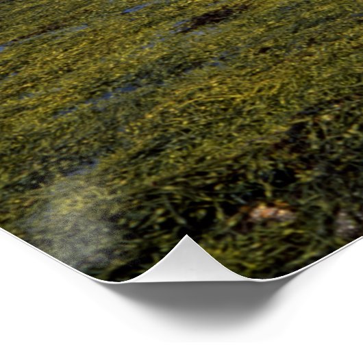 Eilean Donan Castle Scotland Perfect Poster (Hoek)