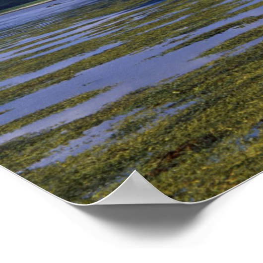 Eilean Donan Castle Scotland Poster (Hoek)