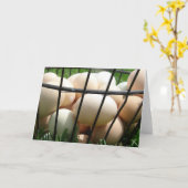 Eimandje Kaart (Gele Bloem)