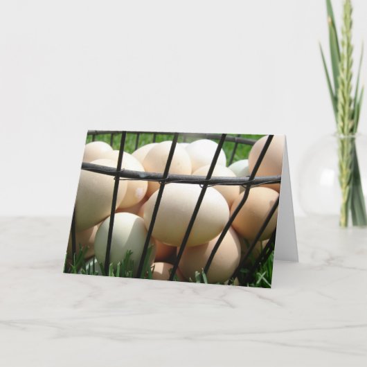 Eimandje Kaart (Voorkant)