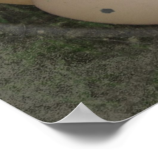 Eimandje Poster (Hoek)