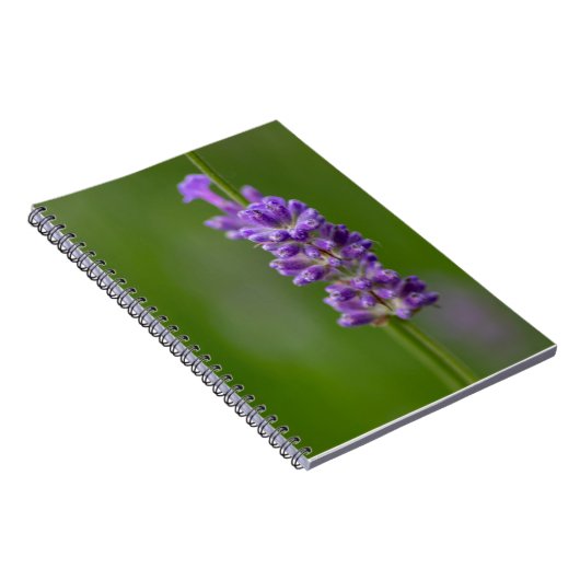 Ein beruhigender Hauch von Lavendel... Notitieboek (Rechterzijde)