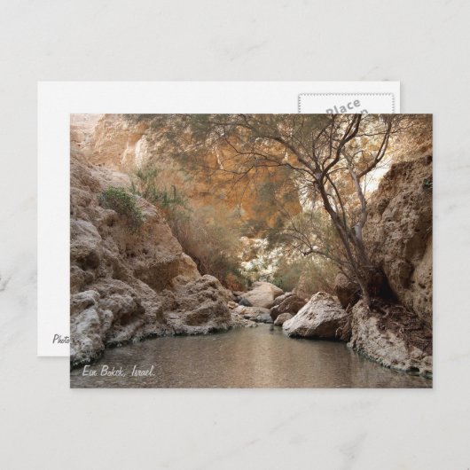 Ein Bokek, Israël. Briefkaart (Voorkant / Achterkant)