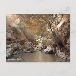 Ein Bokek, Israël. Briefkaart