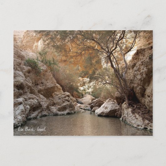 Ein Bokek, Israël. Briefkaart (Voorkant)