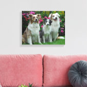 ein Border Collie, blue-merle, und zwei  Australia Canvas Afdruk (Insitu (Woonkamer))